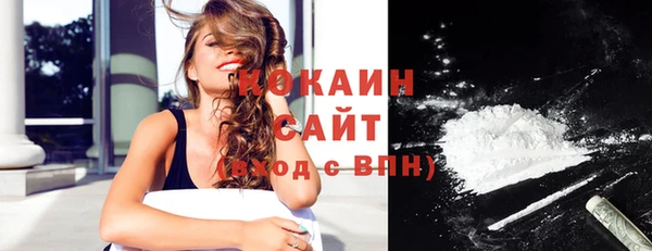 крисы Богородицк