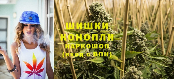 индика Бронницы