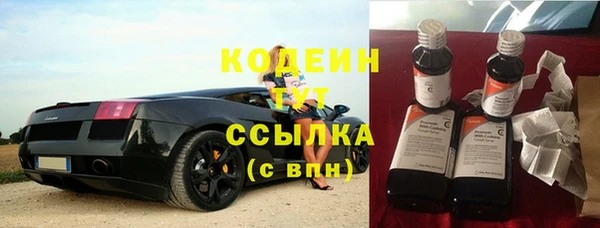 крисы Богородицк