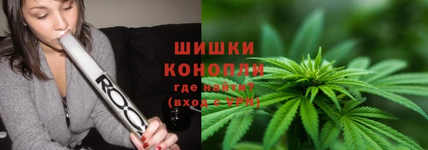 крисы Богородицк