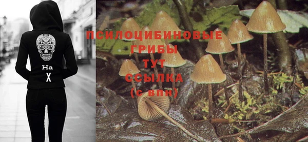 крисы Богородицк
