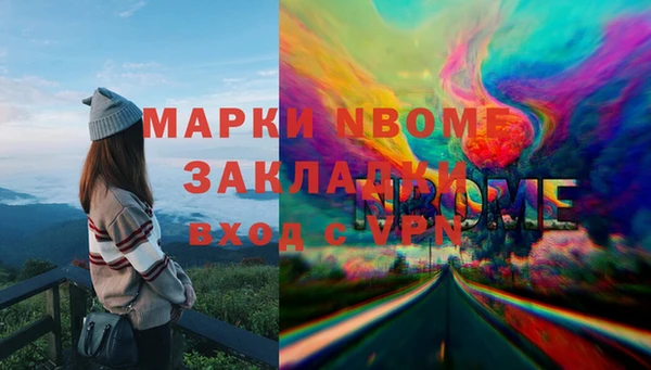 индика Бронницы